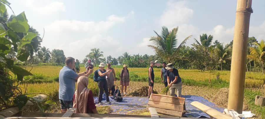Tetebatu: Waterfalls, Spices, Rice Terrace, Monkey forest - Who should book this Tetebatu day tour