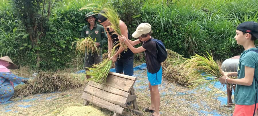 Tetebatu: Waterfalls, Spices, Rice Terrace, Monkey forest - Spice plantation start: where flavors meet local knowledge