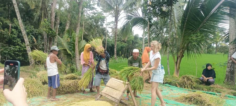 Tetebatu: Waterfalls, Spices, Rice Terrace, Monkey forest - Sacred Monkey Forest and the black-collared monkey hunt