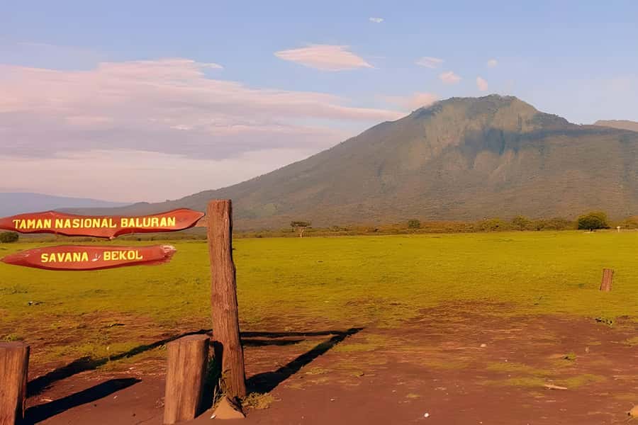 The Authentic Sunset Of Baluran National Park Banyuwangi - Key points you should know before you go