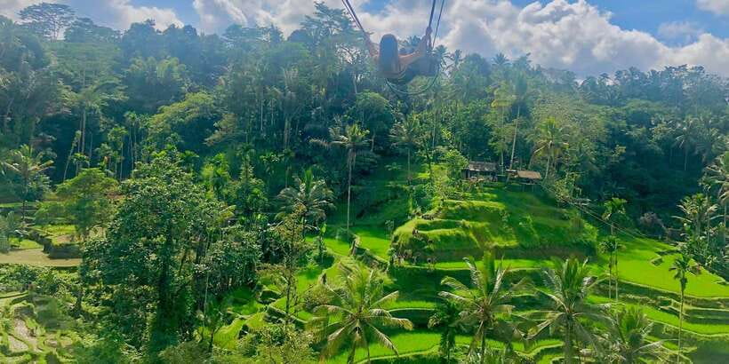 Tour full day ubud, water fall,coffe atv,and rice paddy - Key things to know before you go