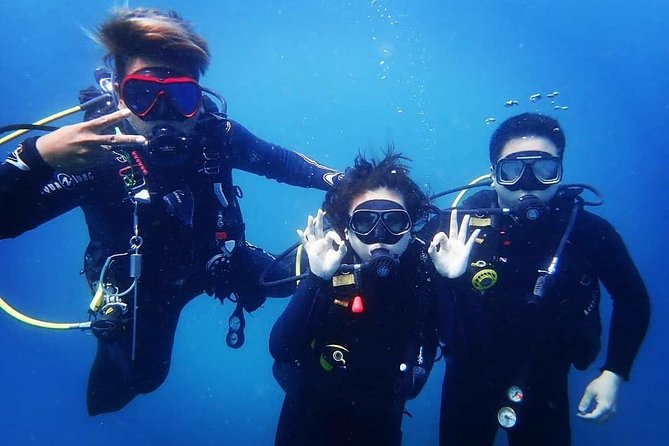 Try Diving in Manta Point - Nusa Penida - Getting to Nusa Penida: Timing, Transfers, and Realistic Expectations