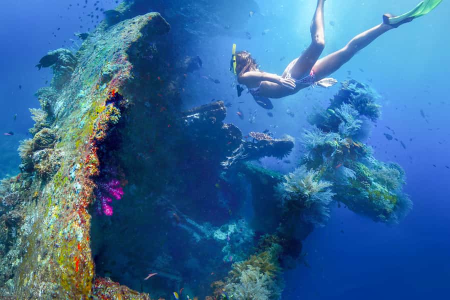 Tulamben: USAT Liberty Shipwreck Full-Day Snorkeling Trip - USAT Liberty: from 1942 torpedo hit to coral-covered fish magnet