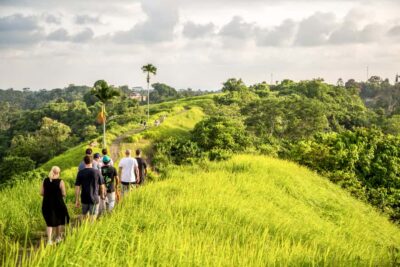 3-Hour Walking Tour with Lunch