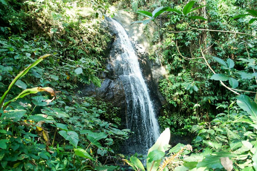Ubud: 3-Hour Walking Tour with Lunch - Practical Tips So Your Morning Stays Comfortable