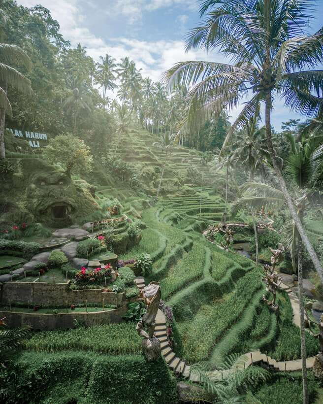 Ubud: Alas Harum Day-Pass, Swing, Sky Bike & Flying Fox - Key takeaways before you go