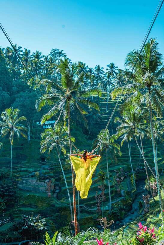 Ubud: Alas Harum Day-Pass, Swing, Sky Bike & Flying Fox - Coffee Tour and Coffee Break in the Park
