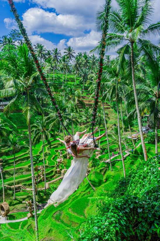 Ubud: Alas Harum Day-Pass, Swing, Sky Bike & Flying Fox - Roaming Between Activities: Rice Terraces, Birdnest, and Pathways
