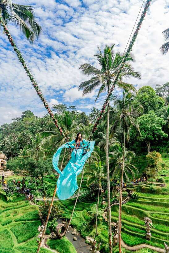 Ubud: Alas Harum Day-Pass, Swing, Sky Bike & Flying Fox - Price and What You Really Get for It