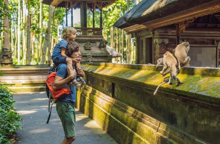 Ubud: All-Inclusive Tour with Optional Lunch - A one-day Ubud circuit that hits the right mix