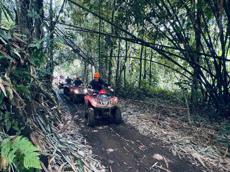 Ubud: ATV Quad Bike & Zip-Line Adventure with Meal - Lunch, Coffee or Tea Tasting, and the Built-In Reset