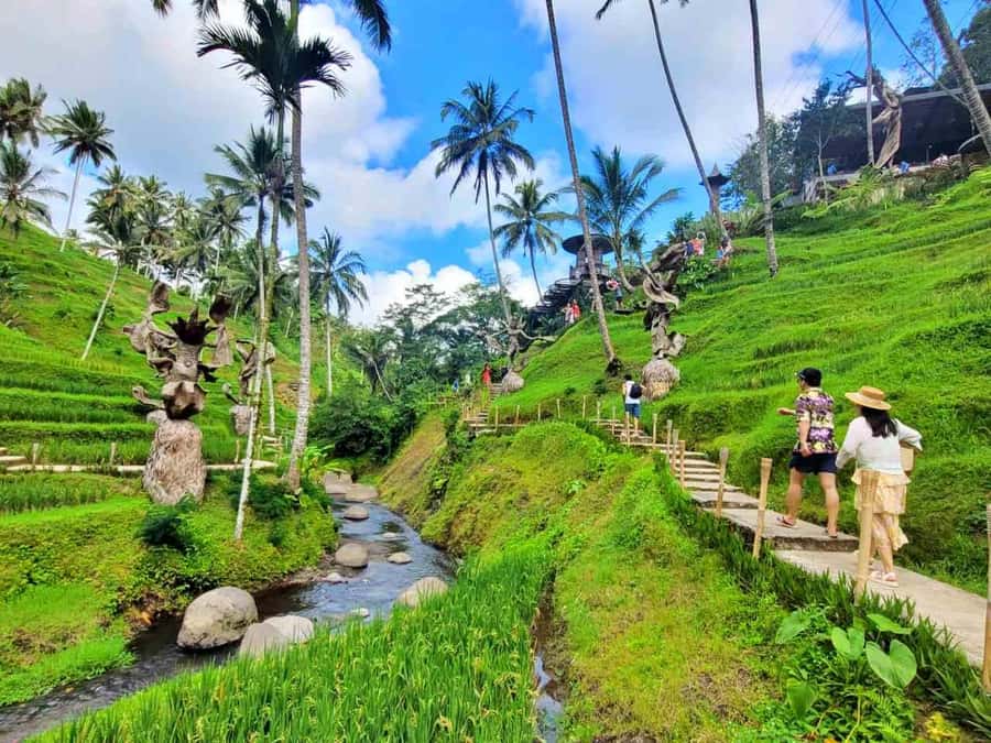 Ubud: ATV Quad Bike, Zip-line and Cretya Alas Harum Tour - Optional Cretya Pool access: a calm finish after adrenaline