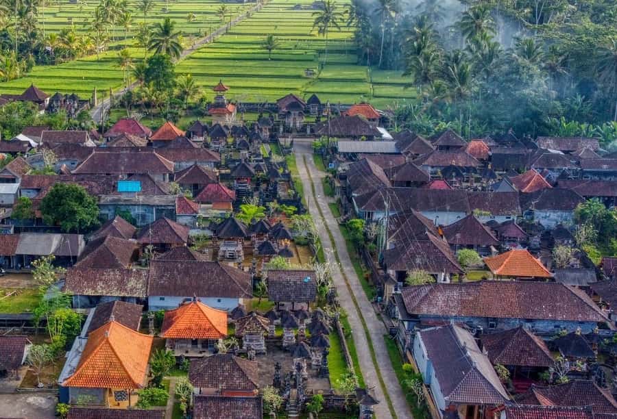 Ubud: Authentic Traditional Balinese Village Cooking Class - The Open-Air Kitchen: Hands-On Cooking That Moves at a Human Pace