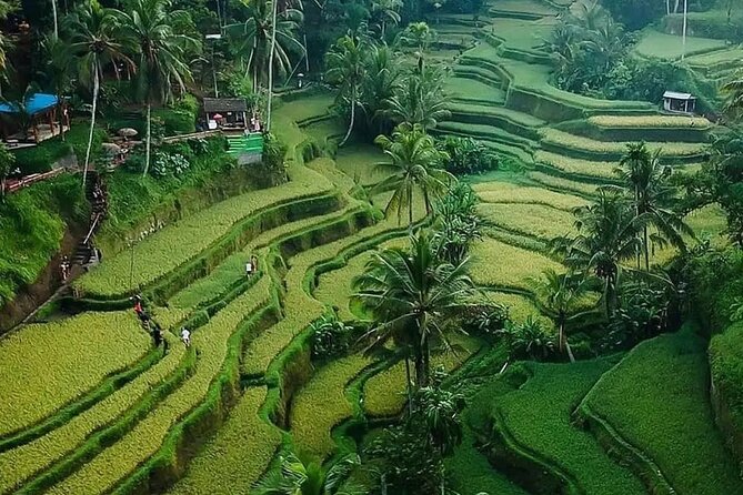 Ubud Bali Driver ( Bali Custom Tour ) - Ubud Art Market: crafts and culture in one stop
