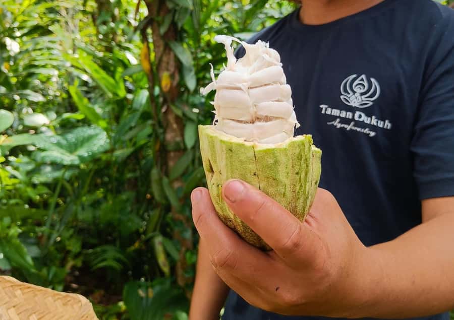 Ubud: Balinese Cooking Class at an Organic Farm - How the Day Works, From Ubud Pickup to Morning Market