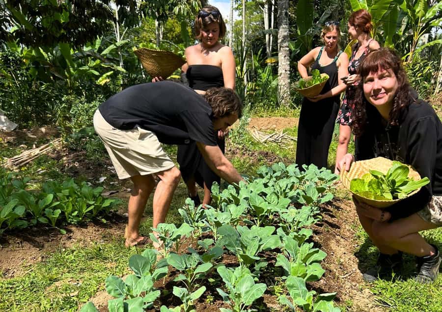 Ubud: Balinese Cooking Class at an Organic Farm - Meet Your Chef and Get Your Bearings in a Shared Station Setup