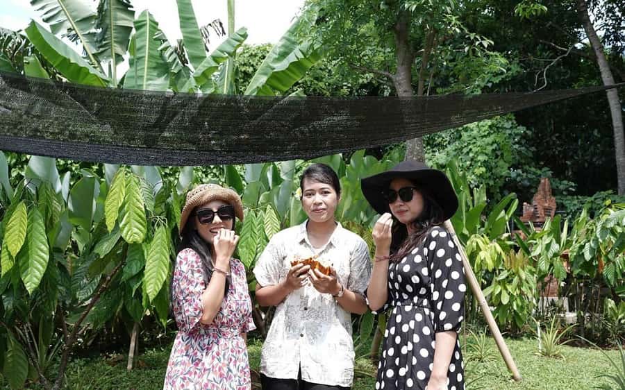 Ubud: Chocolate Workshop, Class & Tasting - Price and Value: What $24 Buys in This Ubud Class
