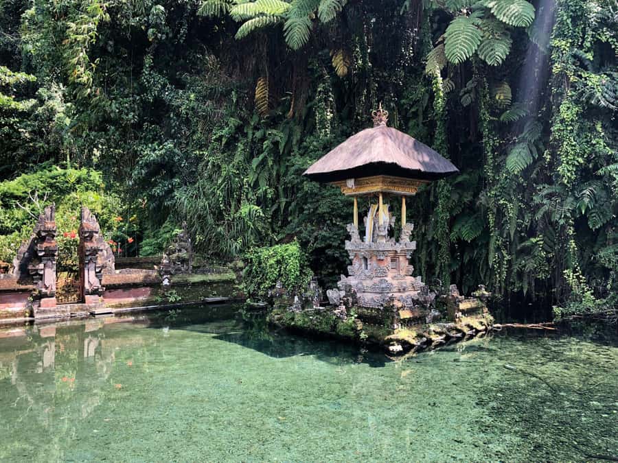 Ubud: Cretya Infinity Pool, Hidden Waterfall & Water Temple - Cretya Ubud infinity pool, why it works as your first stop