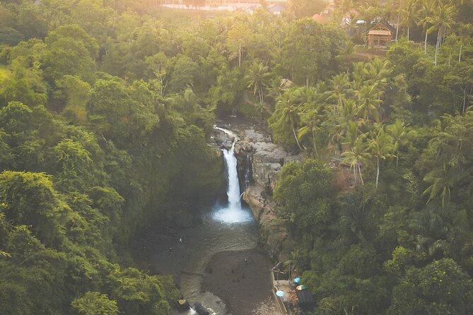 Ubud Day Tour: Sacred Monkey Forest, Tegenungan Waterfall, Rice Terrace - A Ubud day that stays practical, not rushed