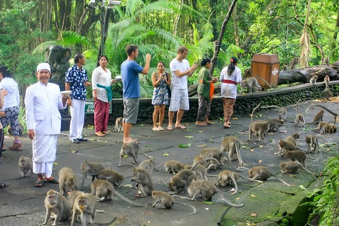 Ubud Day Tour: Sacred Monkey Forest, Tegenungan Waterfall, Rice Terrace - Price and what you actually get for $24