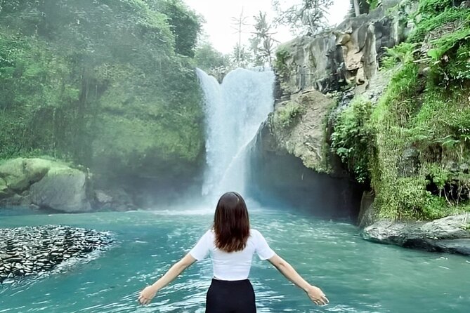 Ubud Day Tour: Sacred Monkey Forest, Tegenungan Waterfall, Rice Terrace - Private pickup and the driver can make or break it