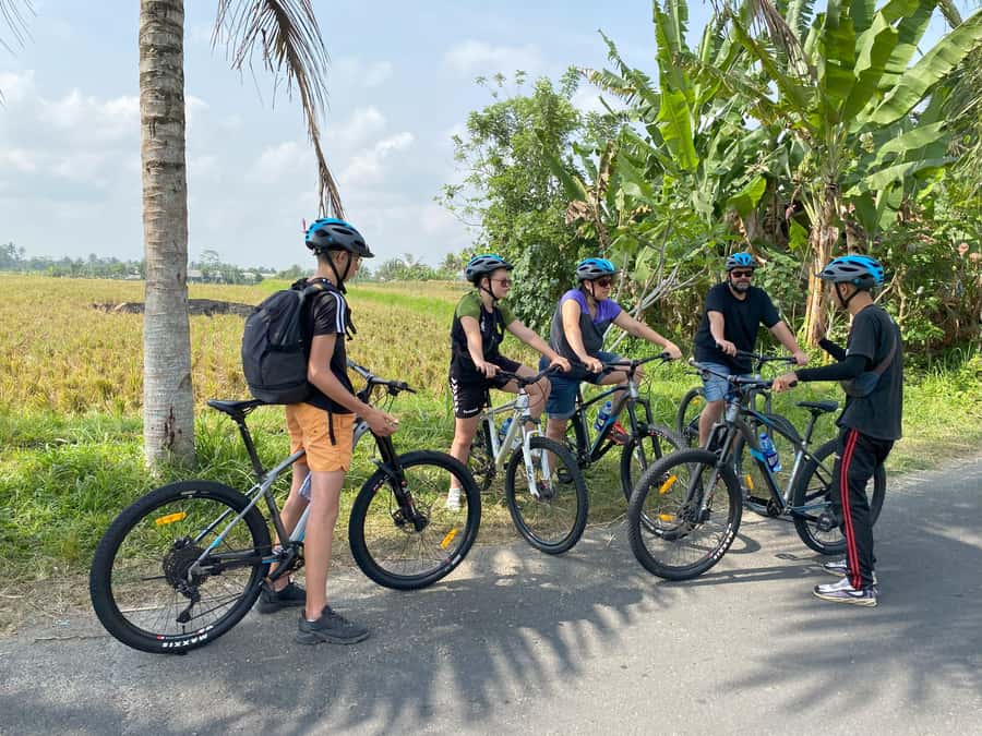 Ubud: Downhill Bike Tour with Rice Fields, Volcano and Meal - From Kintamani’s volcano views to Ubud’s rice fields