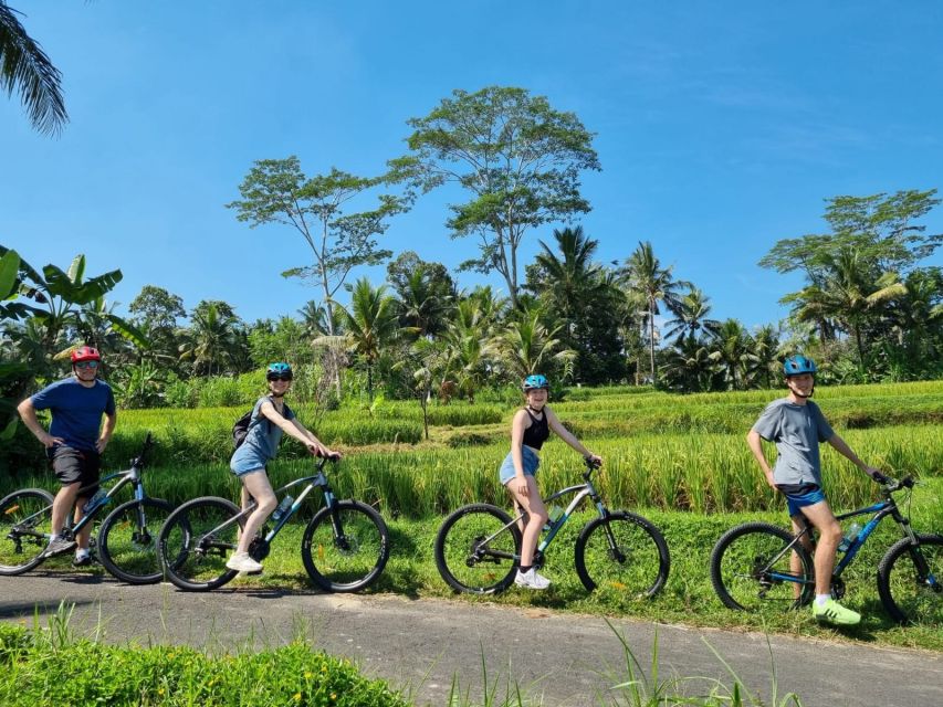Ubud: Downhill Cycling with Volcano, Rice Terraces, and Meal - Price and Value: Why $36 Can Actually Make Sense Here