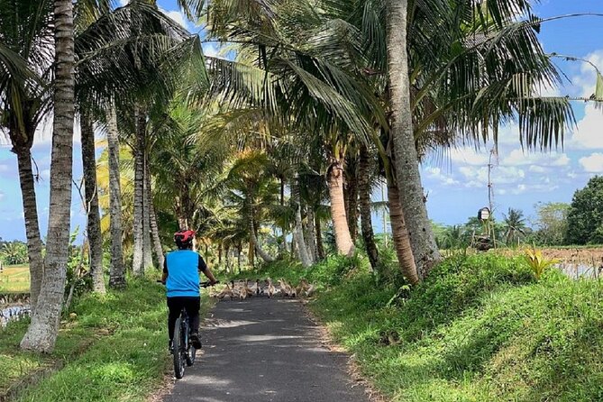 Ubud: Downhill Cycling with Volcano, Rice Terraces, and Meal - Traditional Village Loop: What You Actually See in Balinese Daily Life