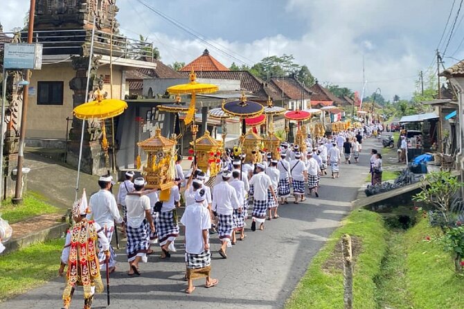 Ubud: Downhill Cycling with Volcano, Rice Terraces, and Meal - Rice Paddies and a Short Walk: The Part That Makes It Feel Cultural