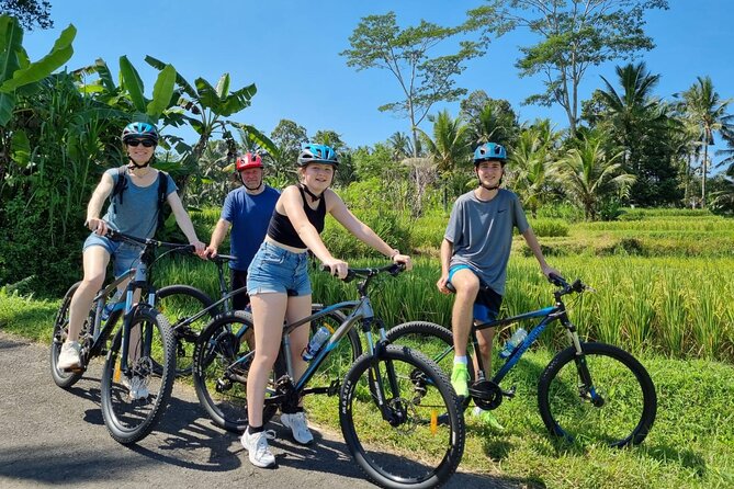 Ubud: Downhill Cycling with Volcano, Rice Terraces, and Meal - Small Group, Real Pace: How Four Riders Changes Everything