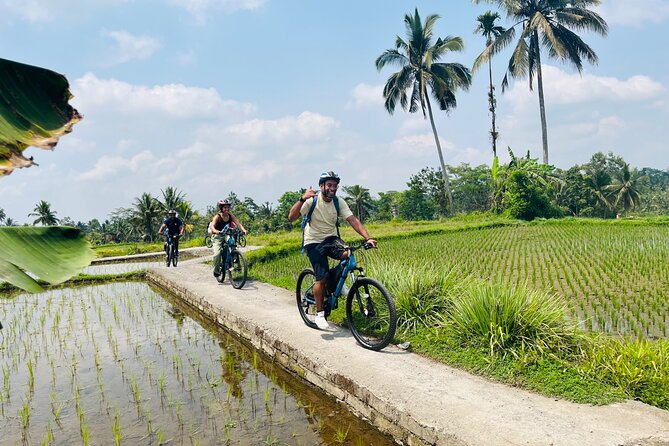 Ubud eBikes Tour to Tegallalang Rice Terrace - Tegalalang Rice Terrace: lunch with the views timed right