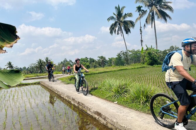 Ubud eBikes Tour to Tegallalang Rice Terrace - Coffee and photo moments: small extras that can make the day feel personal