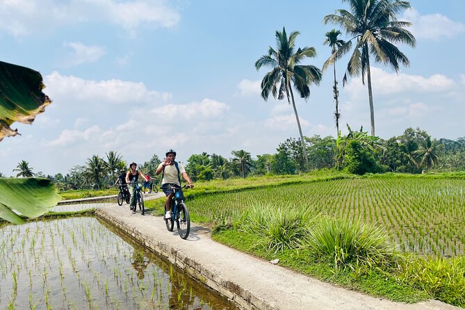 Ubud eBikes Tour to Tegallalang Rice Terrace - Price and value: what $30.55 buys you in real terms