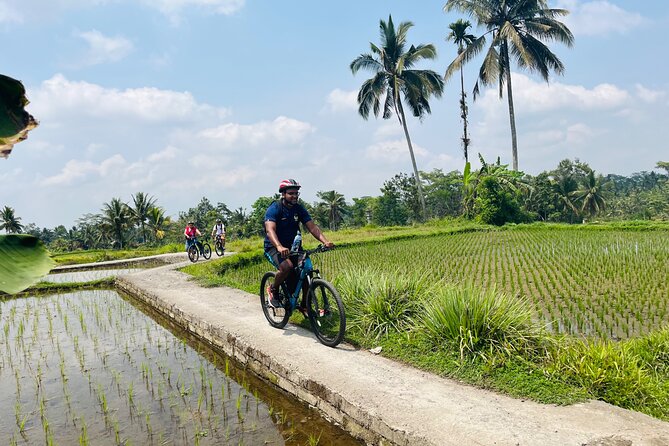 Ubud eBikes Tour to Tegallalang Rice Terrace - Who this e-bike tour suits best, and who might want a different ride