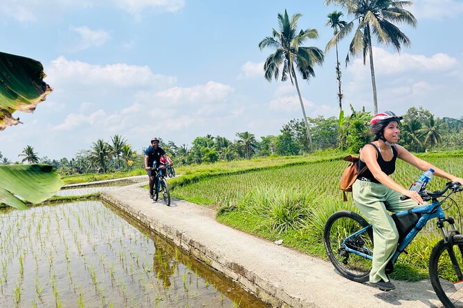Ubud eBikes Tour to Tegallalang Rice Terrace - Ubud to Petulu: the village-lane part you will actually remember