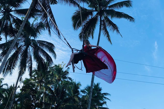 Ubud Experience ; Swing, Waterfalls, Art Market, Rice Terrace - Price and ticket details: does $41.67 feel fair?