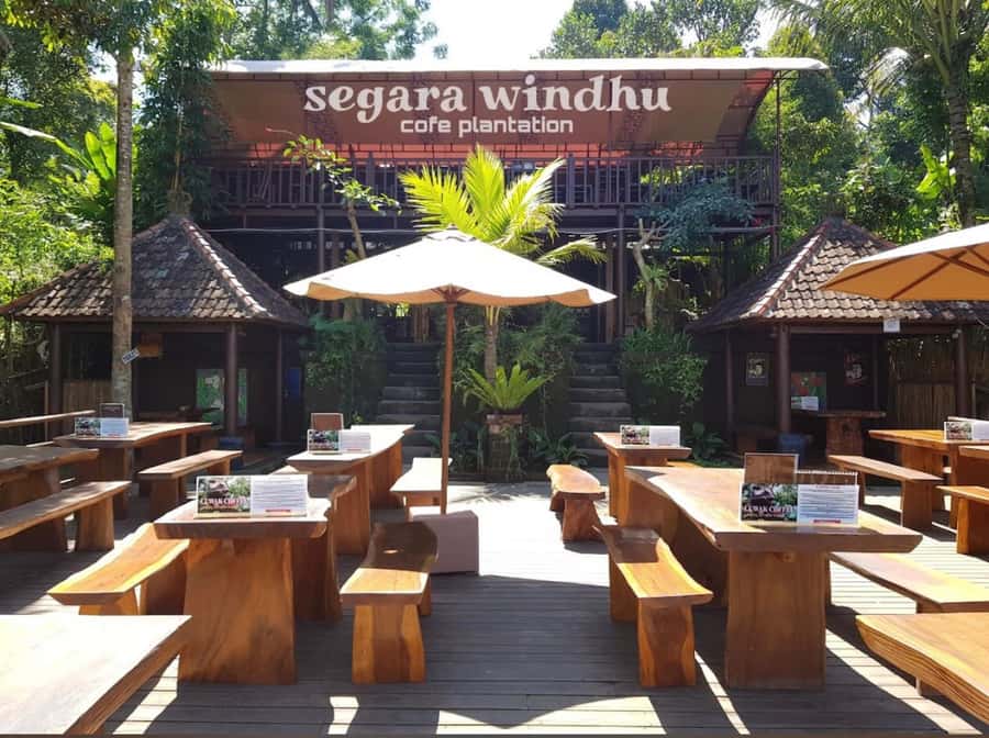 Ubud: Full-Day Rice Terrace, Monkey Forest & Waterfall - Who this tour suits best, and who should skip it