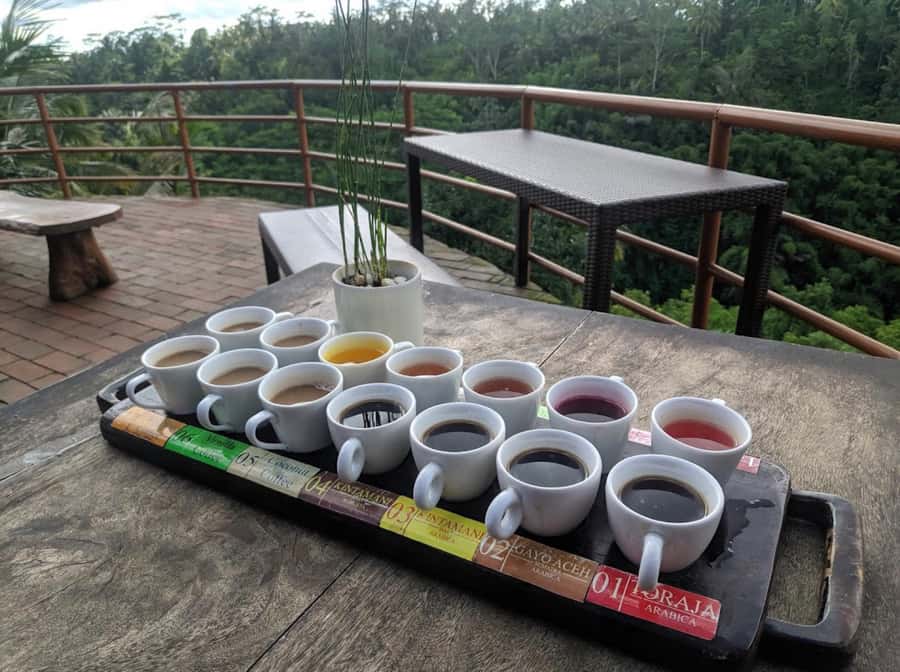 Ubud: Full-Day Rice Terrace, Monkey Forest & Waterfall - Transport comfort and pacing: what a private tour really means in Bali