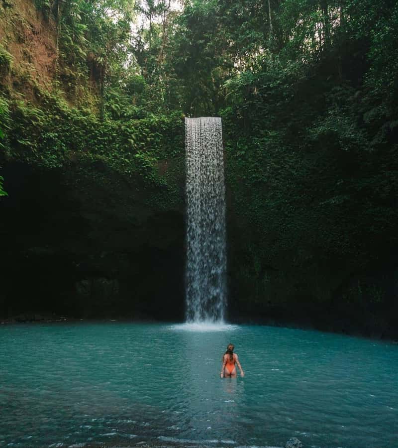 Ubud: Full-Day Rice Terrace, Monkey Forest & Waterfall - Sacred Monkey Forest Sanctuary: seeing wild macaques responsibly