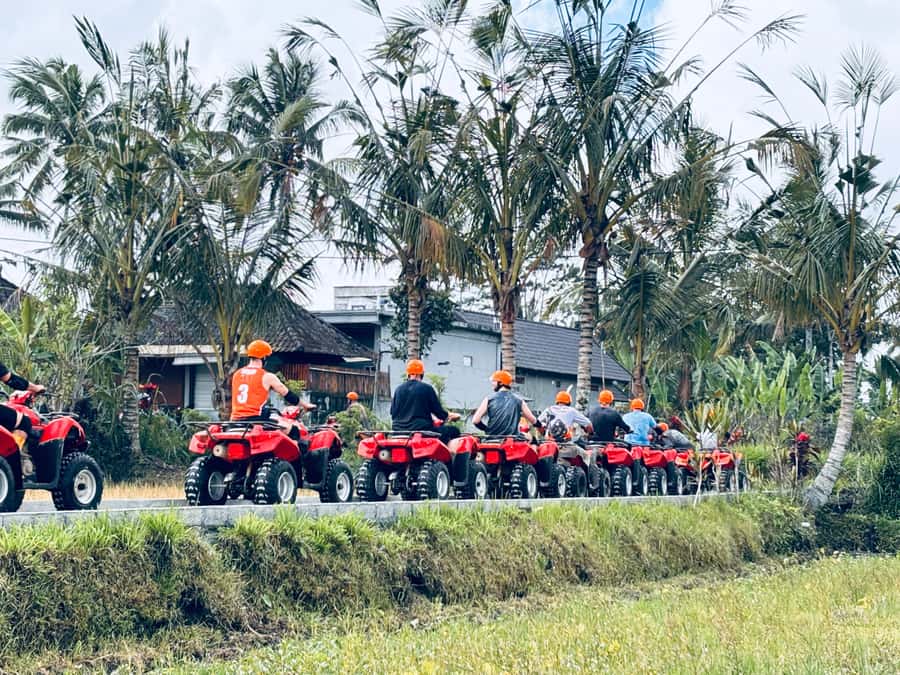Ubud: Gorilla Face ATV Quad Bike Adventure with Lunch - Lunch after the mud: fried rice or noodles, plus a reset shower