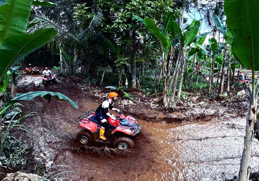Ubud: Gorilla Face ATV Quad Bike Adventure with Lunch - Who should book this, and who should skip it