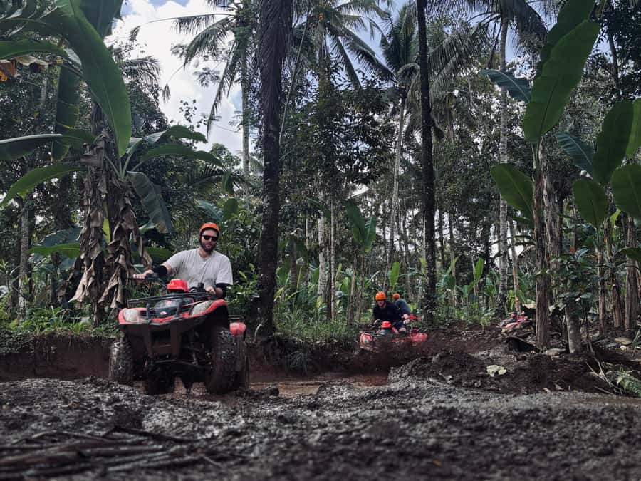 Ubud: Gorilla Face Quad Bike, Jungle Swing, Waterfall & Meal - Price breakdown: what $46 buys you when you add it up