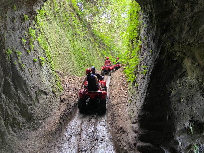 Ubud: Gorilla Face Quad Bike, Jungle Swing, Waterfall & Meal - Transfers, cars, and how long the day really takes