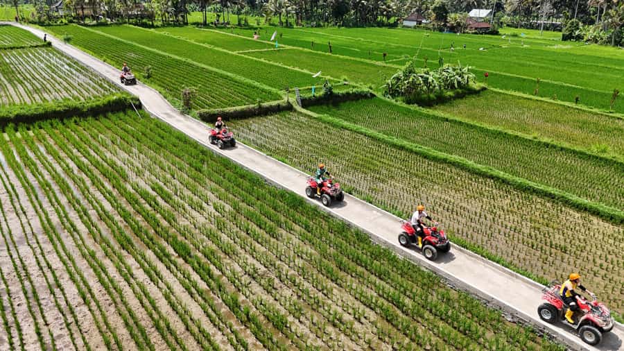 Ubud: Guided ATV Quad Bike Jungle Adventure with Lunch - How the Gorilla ATV day flows in Ubud