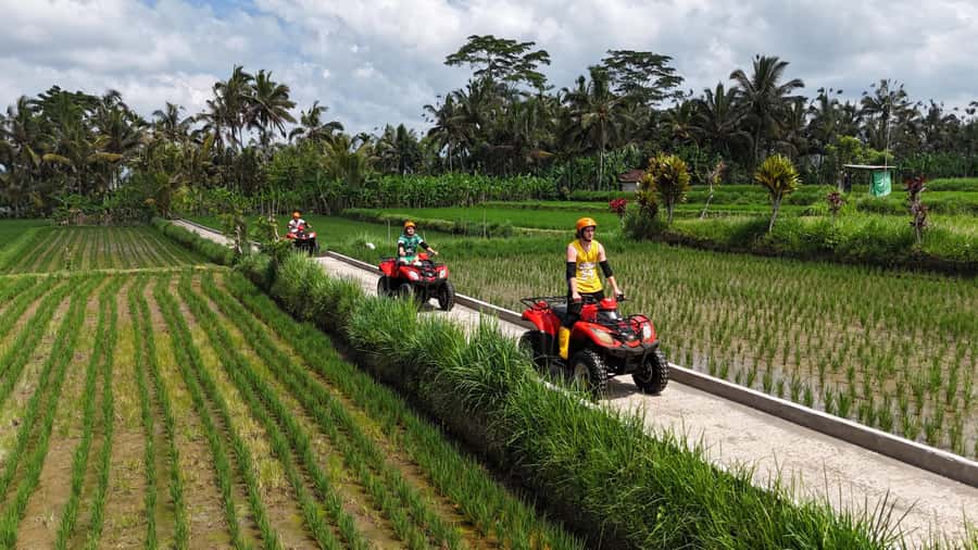 Ubud: Guided ATV Quad Bike Jungle Adventure with Lunch - After the ride: shower, lockers, coffee/tea, and lunch