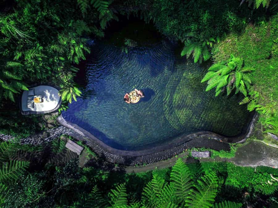 Ubud: Half-Day Zipline and Jungle Swing Adventure - The Jungle Swing: Big Air, Bigger Feelings (And Core Work)