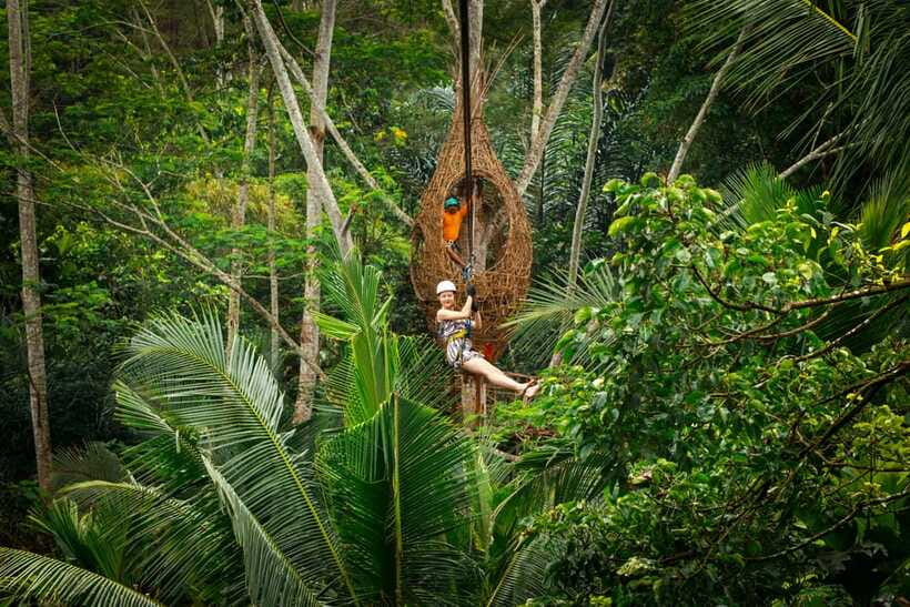 Ubud: Half-Day Zipline and Jungle Swing Adventure - Coffee and Herbal Drinks: The Calm, Local Finish