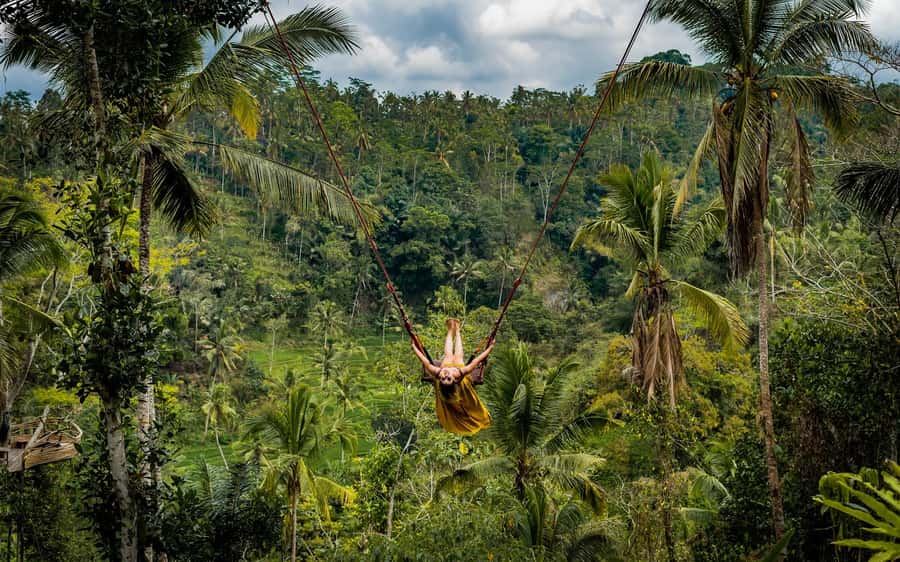 Ubud: Half-Day Zipline and Jungle Swing Adventure - Price and Value: What $33 Really Buys in Ubud