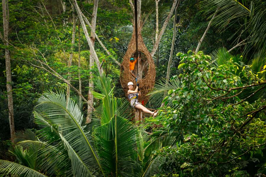 Ubud: Half-Day Zipline and Jungle Swing Adventure - Zipline Through the Coconut Jungle: Views That Make the Time Fly
