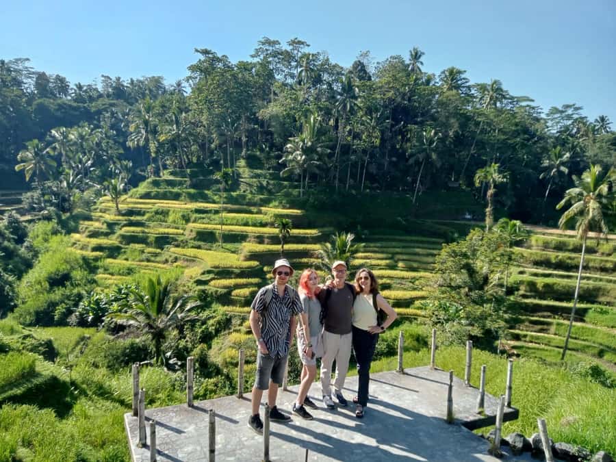 Ubud: Hidden Gems and Waterfalls Private Tour - Should you book this Amara Bali Family Tour? (My take)